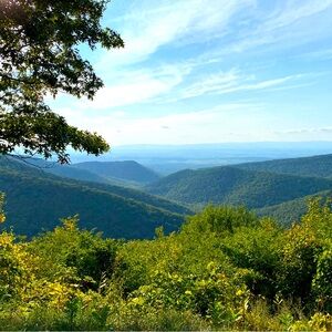 Meet your Posher, Gabe
